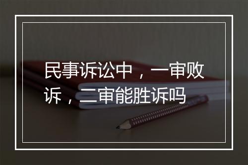 民事诉讼中，一审败诉，二审能胜诉吗