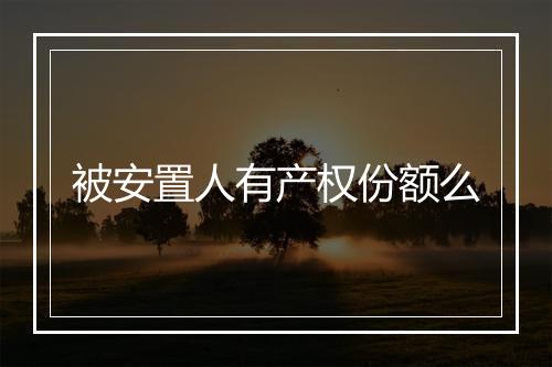 被安置人有产权份额么