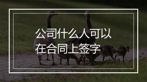 公司什么人可以在合同上签字