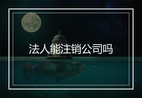 法人能注销公司吗