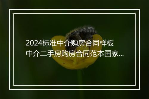 2024标准中介购房合同样板 中介二手房购房合同范本国家标准