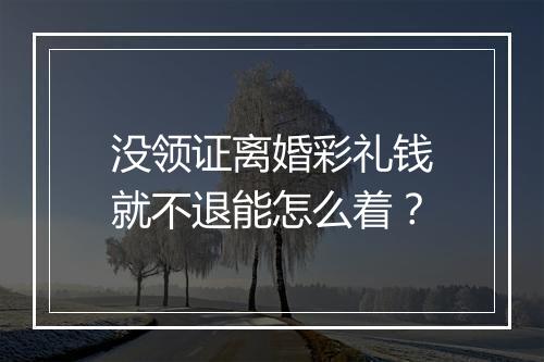没领证离婚彩礼钱就不退能怎么着？