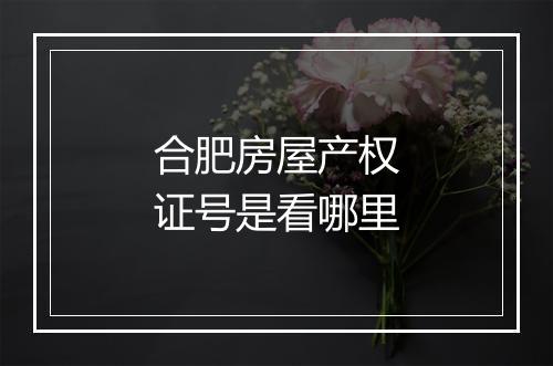 合肥房屋产权证号是看哪里