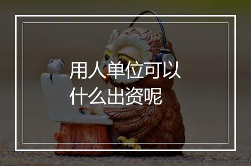 用人单位可以什么出资呢