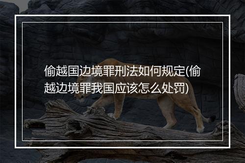 偷越国边境罪刑法如何规定(偷越边境罪我国应该怎么处罚)