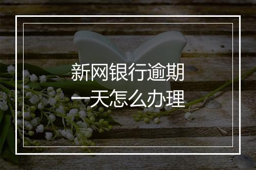 新网银行逾期一天怎么办理