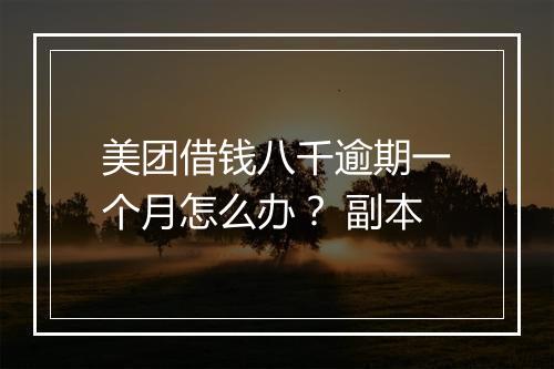美团借钱八千逾期一个月怎么办？ 副本