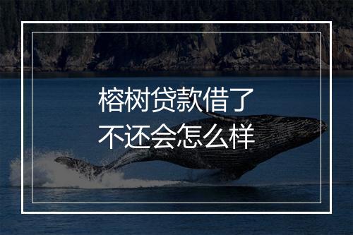榕树贷款借了不还会怎么样