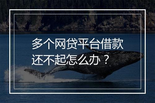 多个网贷平台借款还不起怎么办？