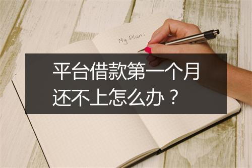 平台借款第一个月还不上怎么办？