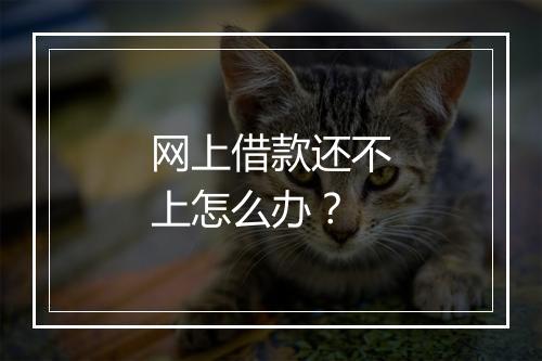 网上借款还不上怎么办？