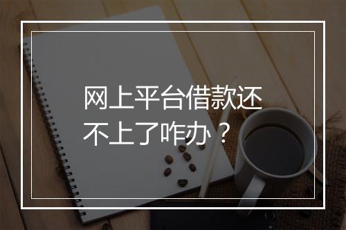 网上平台借款还不上了咋办？