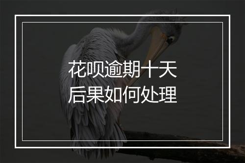 花呗逾期十天后果如何处理