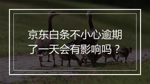 京东白条不小心逾期了一天会有影响吗？