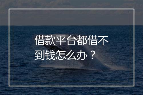 借款平台都借不到钱怎么办？