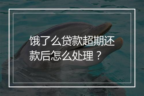 饿了么贷款超期还款后怎么处理？