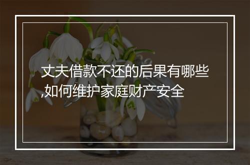 丈夫借款不还的后果有哪些,如何维护家庭财产安全