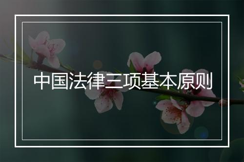 中国法律三项基本原则