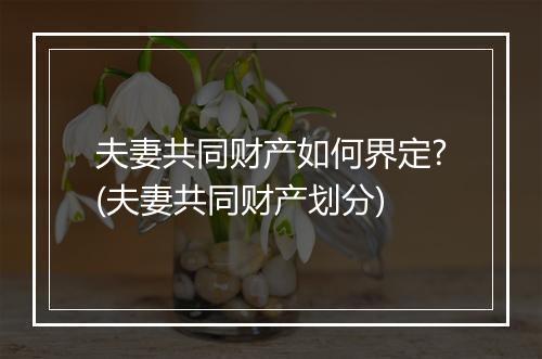 夫妻共同财产如何界定?(夫妻共同财产划分)