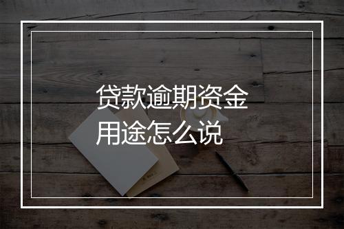 贷款逾期资金用途怎么说