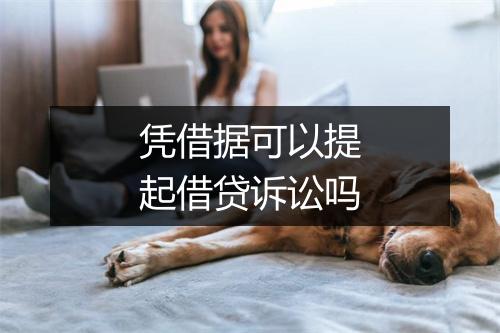 凭借据可以提起借贷诉讼吗