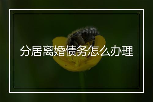 分居离婚债务怎么办理