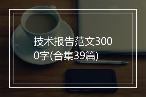 技术报告范文3000字(合集39篇)