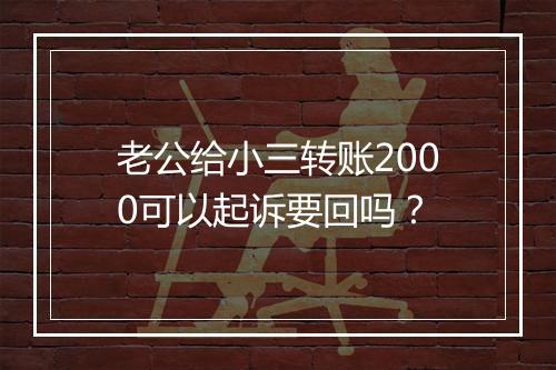 老公给小三转账2000可以起诉要回吗？