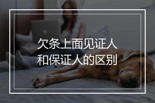 欠条上面见证人和保证人的区别