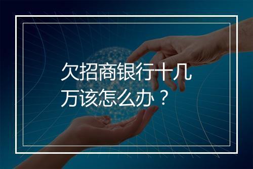 欠招商银行十几万该怎么办？