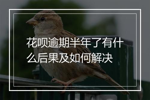 花呗逾期半年了有什么后果及如何解决