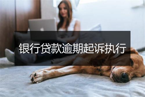 银行贷款逾期起诉执行
