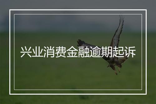 兴业消费金融逾期起诉