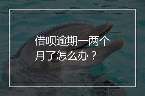 借呗逾期一两个月了怎么办？