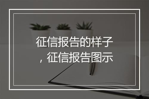 征信报告的样子，征信报告图示