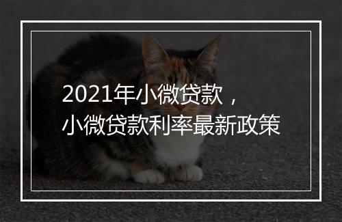 2021年小微贷款，小微贷款利率最新政策
