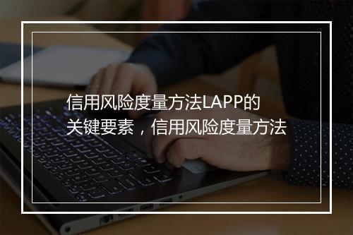 信用风险度量方法LAPP的关键要素，信用风险度量方法