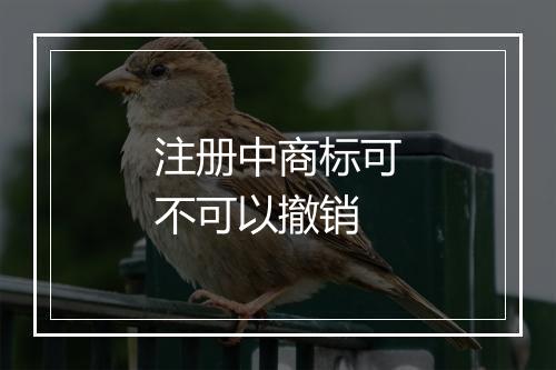 注册中商标可不可以撤销