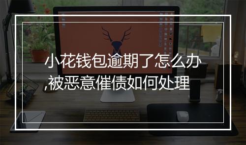 小花钱包逾期了怎么办,被恶意催债如何处理
