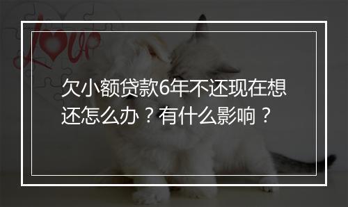欠小额贷款6年不还现在想还怎么办？有什么影响？