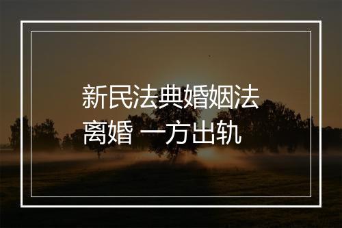 新民法典婚姻法离婚 一方出轨