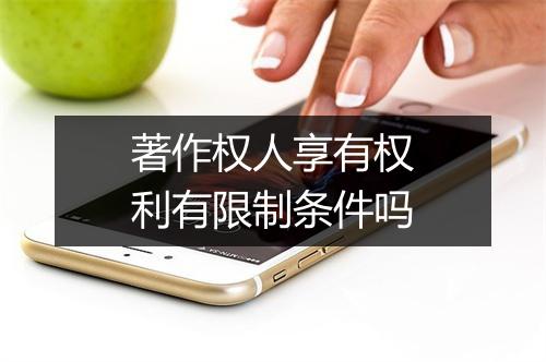 著作权人享有权利有限制条件吗