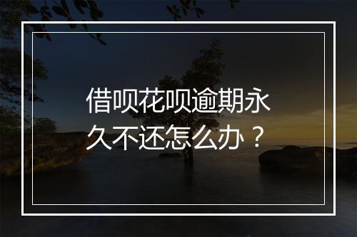 借呗花呗逾期永久不还怎么办？