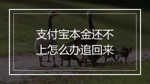 支付宝本金还不上怎么办追回来