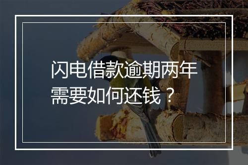 闪电借款逾期两年需要如何还钱？
