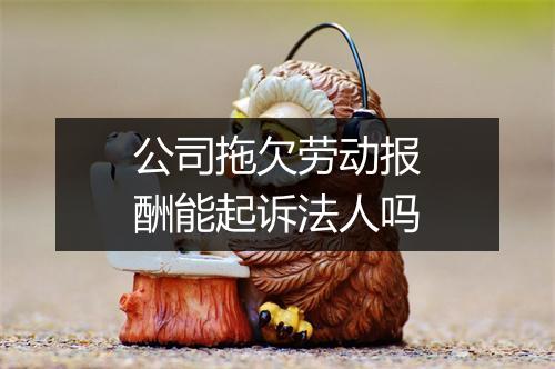 公司拖欠劳动报酬能起诉法人吗