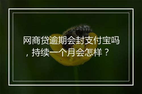 网商贷逾期会封支付宝吗，持续一个月会怎样？