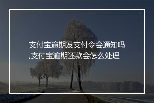支付宝逾期发支付令会通知吗,支付宝逾期还款会怎么处理