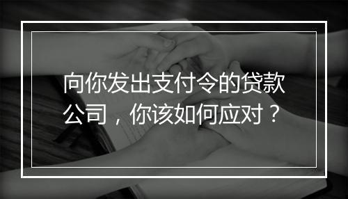 向你发出支付令的贷款公司，你该如何应对？