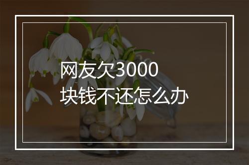 网友欠3000块钱不还怎么办